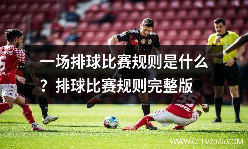 一场排球比赛规则是什么？排球比赛规则完整版