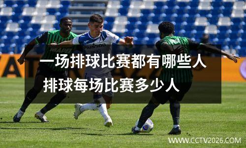 一场排球比赛都有哪些人 排球每场比赛多少人