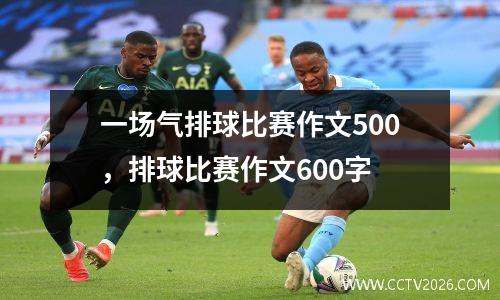 一场气排球比赛作文500，排球比赛作文600字