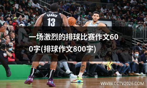 一场激烈的排球比赛作文600字(排球作文800字)