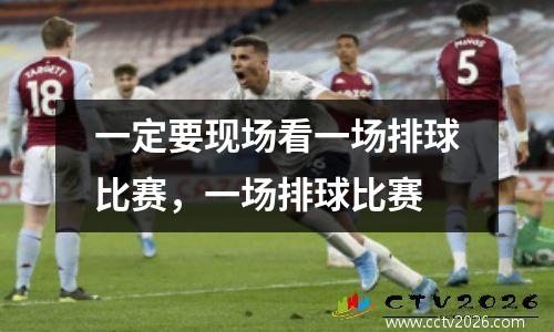一定要现场看一场排球比赛，一场排球比赛