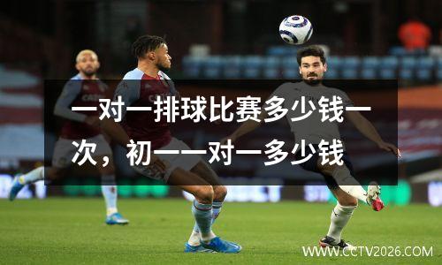 一对一排球比赛多少钱一次，初一一对一多少钱