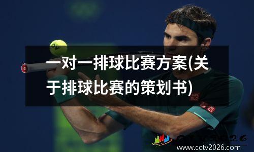 一对一排球比赛方案(关于排球比赛的策划书)