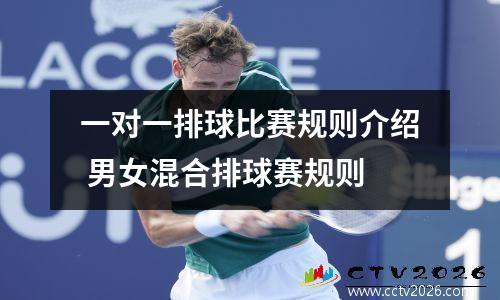 一对一排球比赛规则介绍 男女混合排球赛规则
