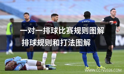 一对一排球比赛规则图解 排球规则和打法图解