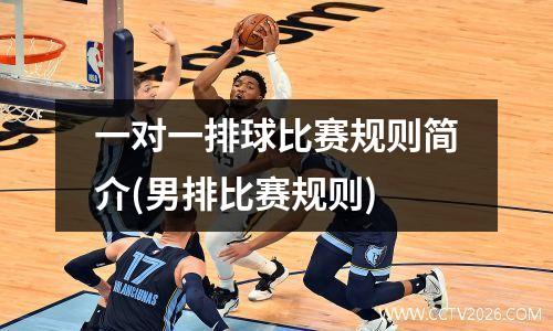 一对一排球比赛规则简介(男排比赛规则)