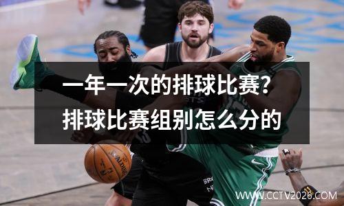 一年一次的排球比赛？排球比赛组别怎么分的