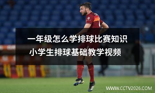 一年级怎么学排球比赛知识 小学生排球基础教学视频