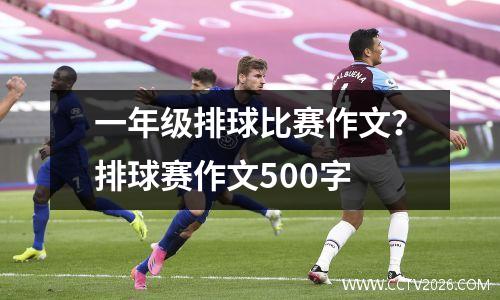 一年级排球比赛作文？排球赛作文500字