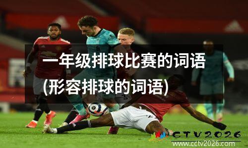 一年级排球比赛的词语(形容排球的词语)