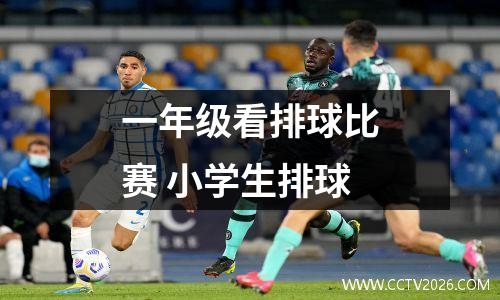 一年级看排球比赛 小学生排球