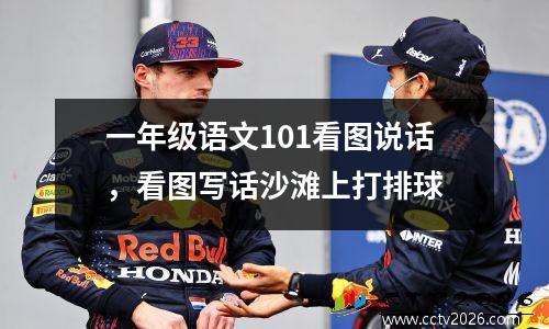 一年级语文101看图说话，看图写话沙滩上打排球