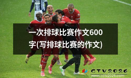 一次排球比赛作文600字(写排球比赛的作文)