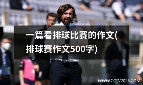 一篇看排球比赛的作文(排球赛作文500字)
