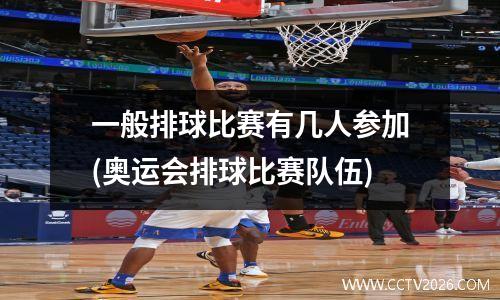 一般排球比赛有几人参加(奥运会排球比赛队伍)