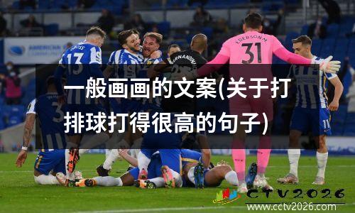 一般画画的文案(关于打排球打得很高的句子)