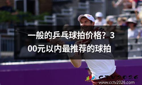 一般的乒乓球拍价格？300元以内最推荐的球拍