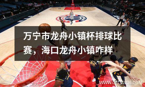 万宁市龙舟小镇杯排球比赛，海口龙舟小镇咋样