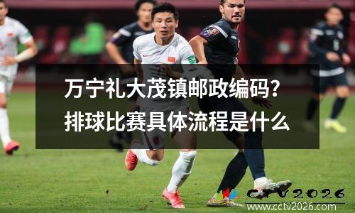 万宁礼大茂镇邮政编码？排球比赛具体流程是什么