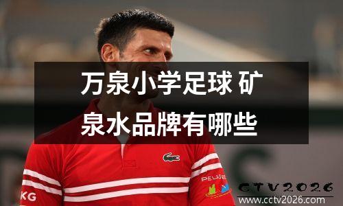 万泉小学足球 矿泉水品牌有哪些