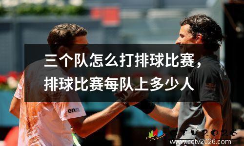 三个队怎么打排球比赛，排球比赛每队上多少人