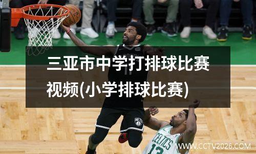 三亚市中学打排球比赛视频(小学排球比赛)