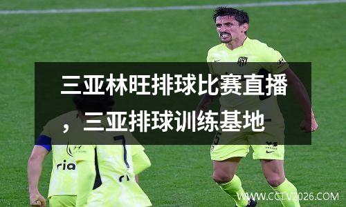 三亚林旺排球比赛直播，三亚排球训练基地