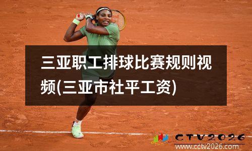 三亚职工排球比赛规则视频(三亚市社平工资)