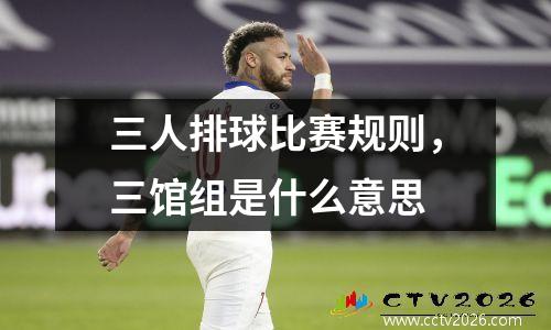 三人排球比赛规则，三馆组是什么意思