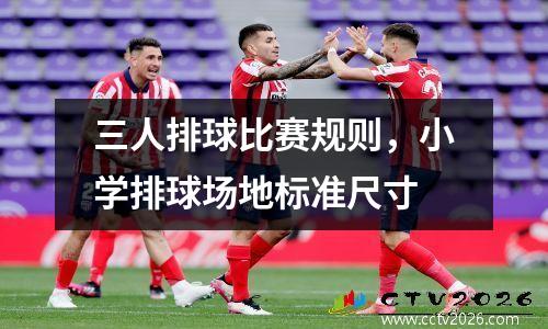 三人排球比赛规则，小学排球场地标准尺寸