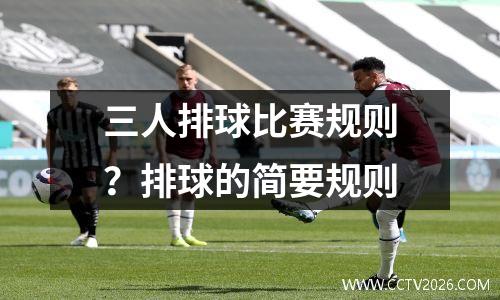 三人排球比赛规则？排球的简要规则