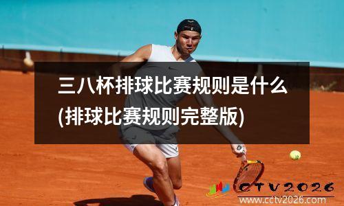 三八杯排球比赛规则是什么(排球比赛规则完整版)