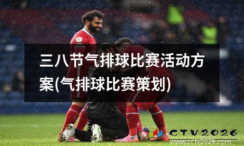 三八节气排球比赛活动方案(气排球比赛策划)
