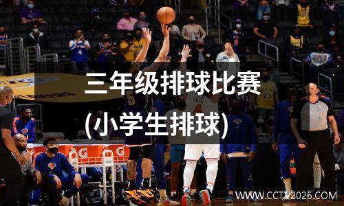 三年级排球比赛(小学生排球)