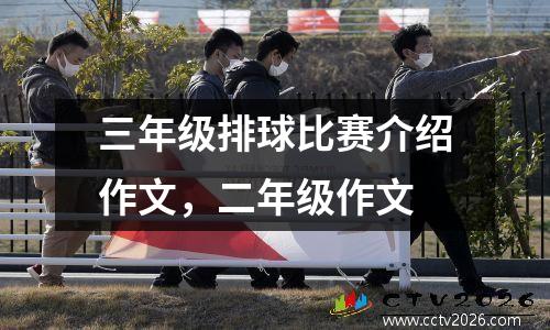 三年级排球比赛介绍作文，二年级作文
