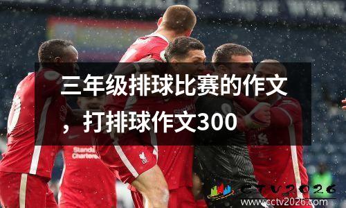 三年级排球比赛的作文，打排球作文300