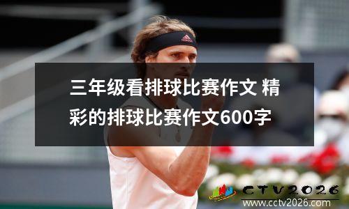 三年级看排球比赛作文 精彩的排球比赛作文600字
