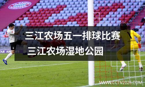 三江农场五一排球比赛 三江农场湿地公园