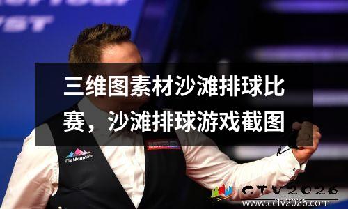三维图素材沙滩排球比赛，沙滩排球游戏截图