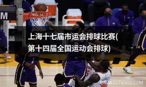 上海十七届市运会排球比赛(第十四届全国运动会排球)