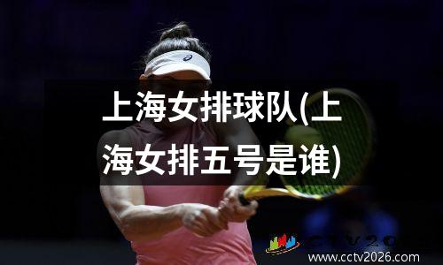 上海女排球队(上海女排五号是谁)