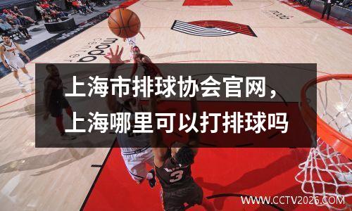 上海市排球协会官网，上海哪里可以打排球吗