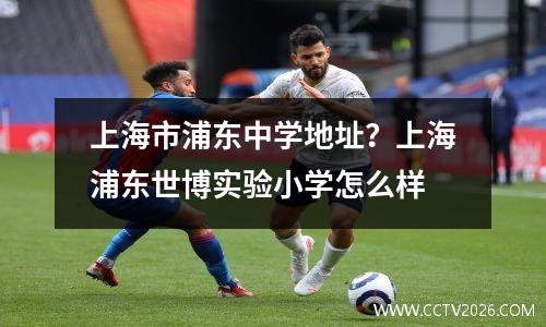 上海市浦东中学地址？上海浦东世博实验小学怎么样