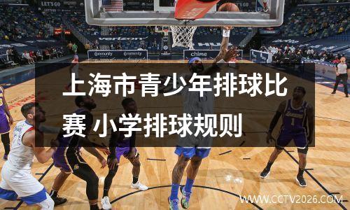 上海市青少年排球比赛 小学排球规则