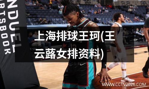 上海排球王珂(王云蕗女排资料)