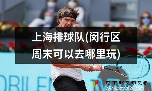 上海排球队(闵行区周末可以去哪里玩)