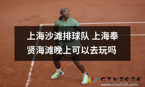 上海沙滩排球队 上海奉贤海滩晚上可以去玩吗