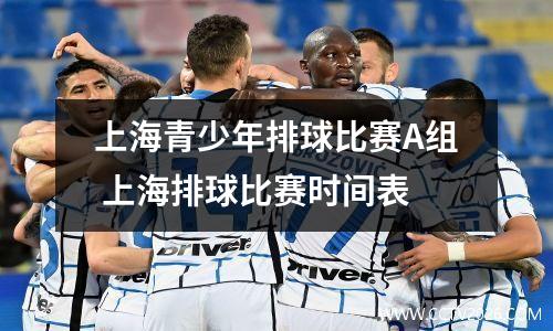 上海青少年排球比赛A组 上海排球比赛时间表