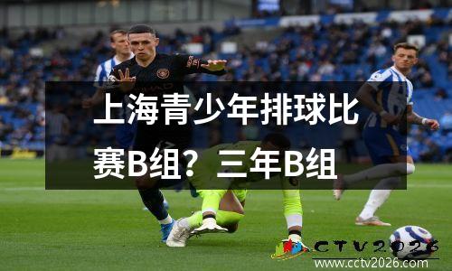 上海青少年排球比赛B组？三年B组