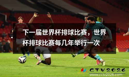 下一届世界杯排球比赛，世界杯排球比赛每几年举行一次